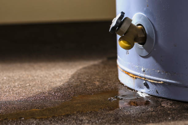 Best Water damage restoration near me  in Frankfort, KY