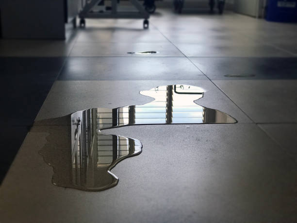 Best 24-hour water damage restoration  in Frankfort, KY