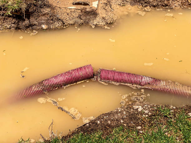 Local water damage restoration in Frankfort, KY