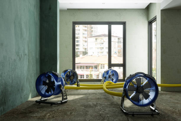 Best Flood restoration services  in Frankfort, KY