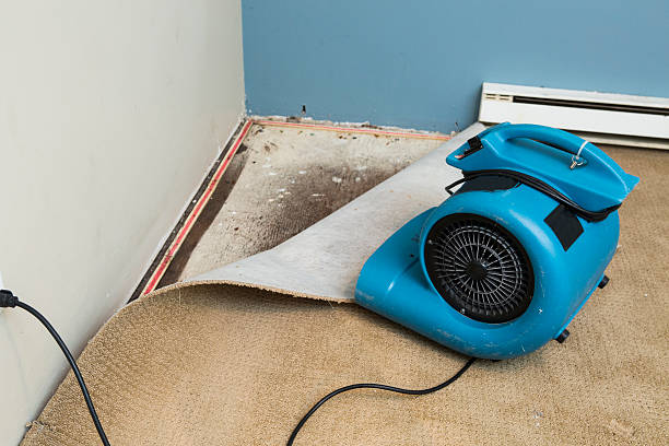 Best Water damage restoration mold remediation  in Frankfort, KY